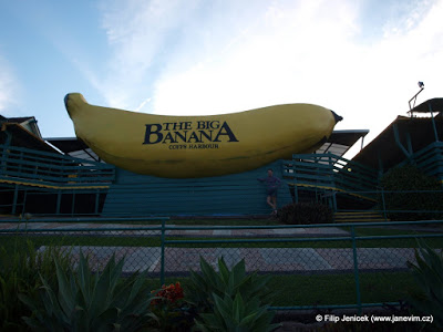 Big banana